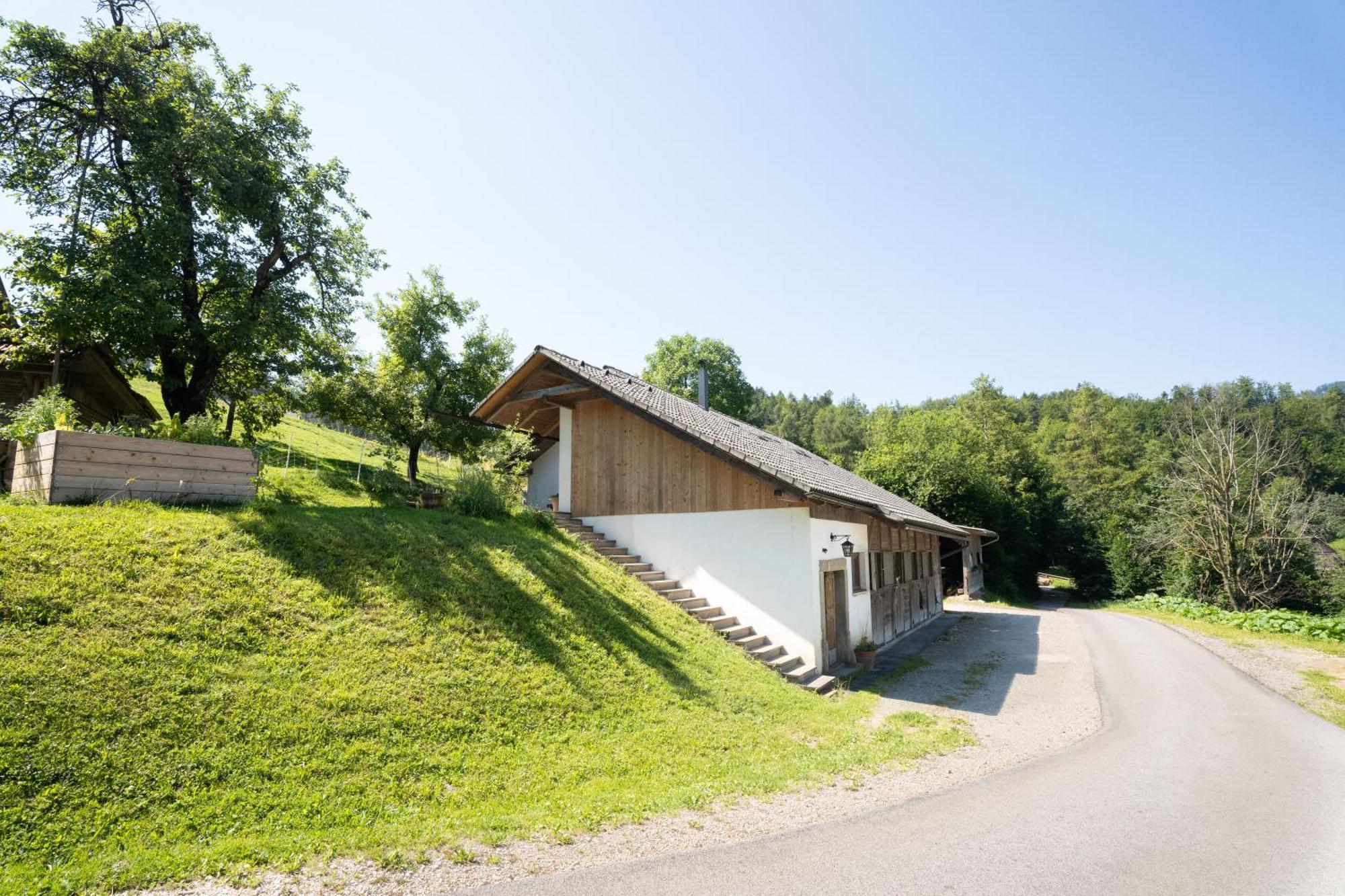 Zgornje Gorje Horse Farm Holiday Pr' Kolenc מראה חיצוני תמונה